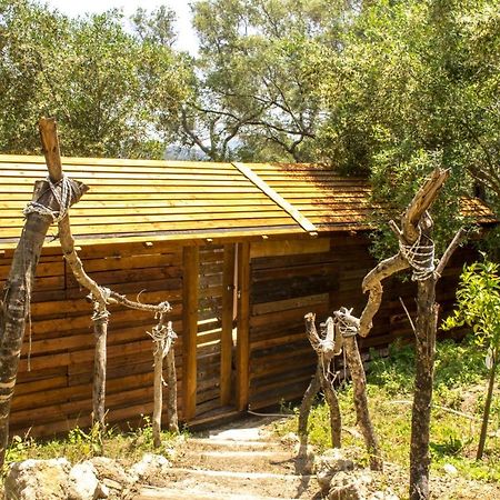Pelekas Olive Grove Oasis Room No4 외부 사진